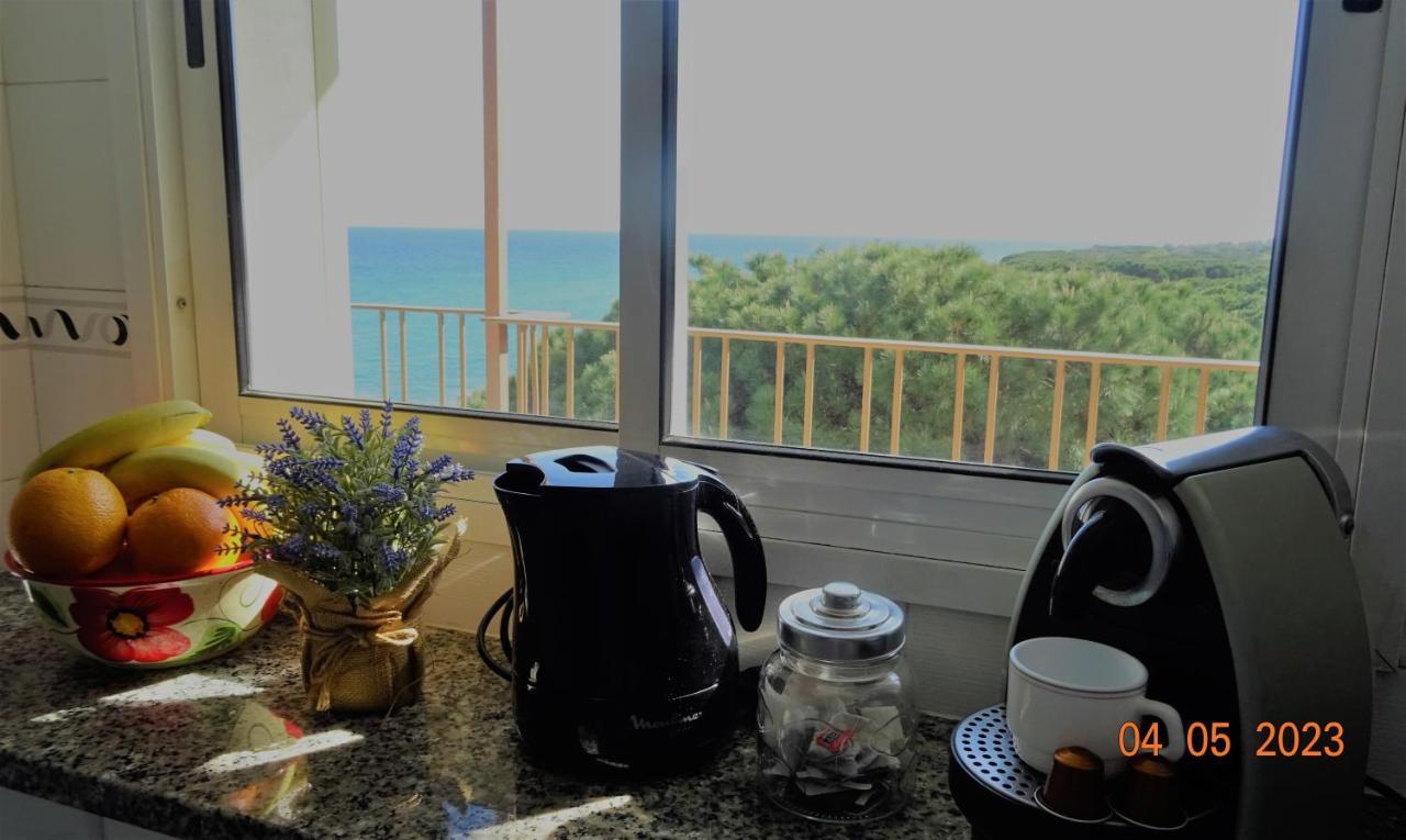 Apartament La Vista Bonica 布拉内斯 外观 照片